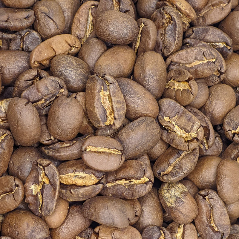 Сальвадор Фернандо Ескобар