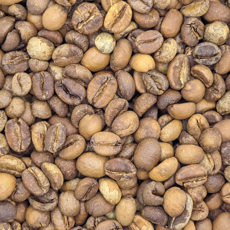 Коста-Рика Хасіенда Сонора