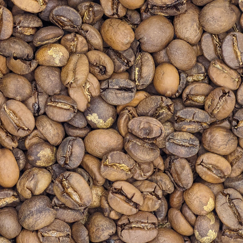 Бразилія Іпанема Жовта Арара